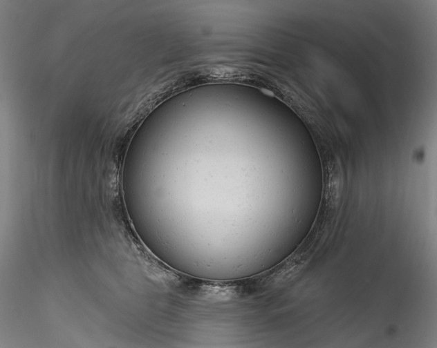 X0000115770469200911271145