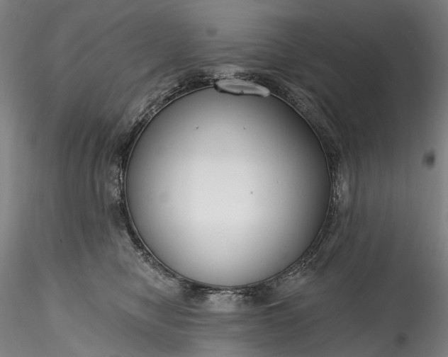 X0000115770470200911271145