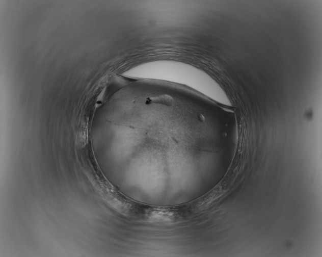 X0000115770471200911271145