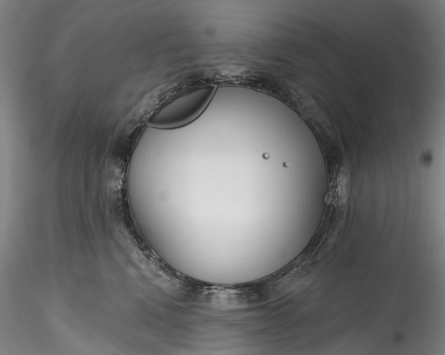 X0000115770472200911271145