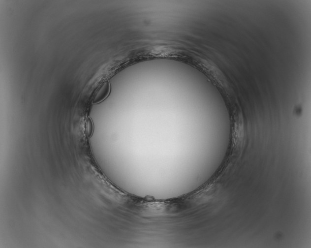 X0000115770473200911271145