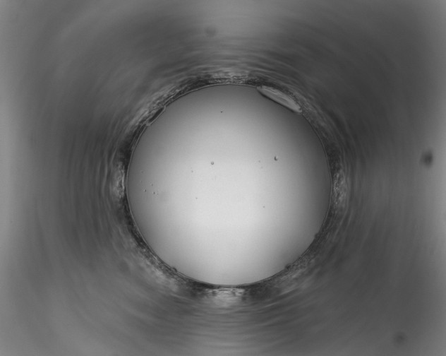 X0000115770474200911271145