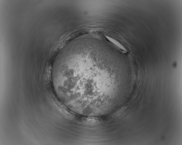 X0000115770475200911271145