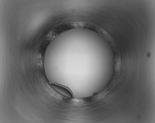 X0000115770477200911271145