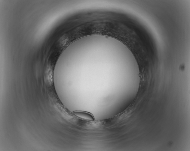 X0000115770479200911271145