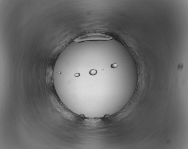 X0000115770480200911271145