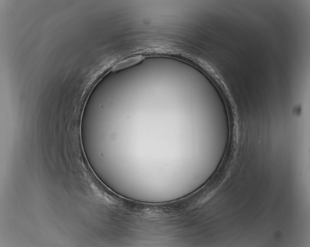 X0000115770481200911271144