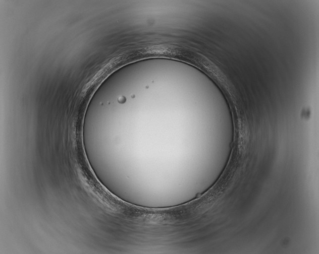 X0000115770482200911271144