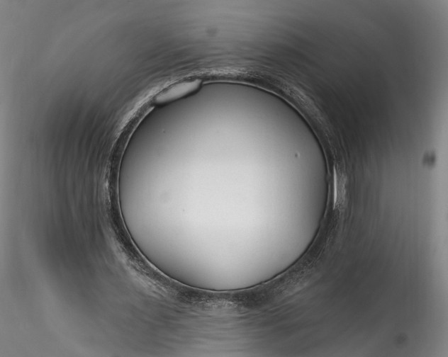 X0000115770483200911271144