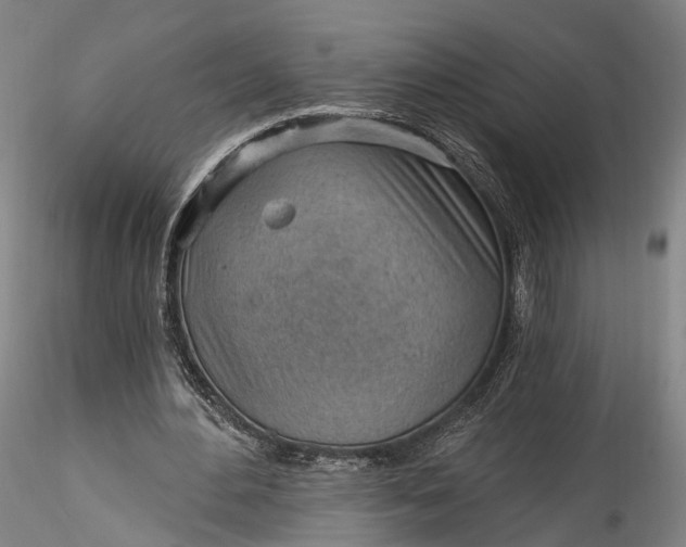 X0000115770484200911271144