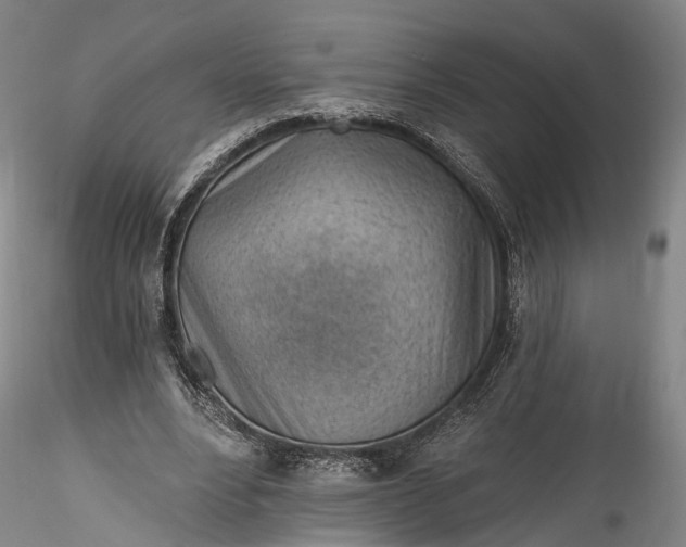 X0000115770488200911271144