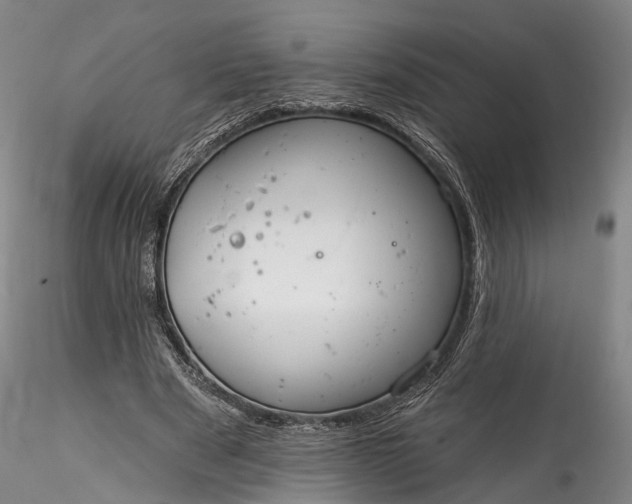 X0000115770489200911271144