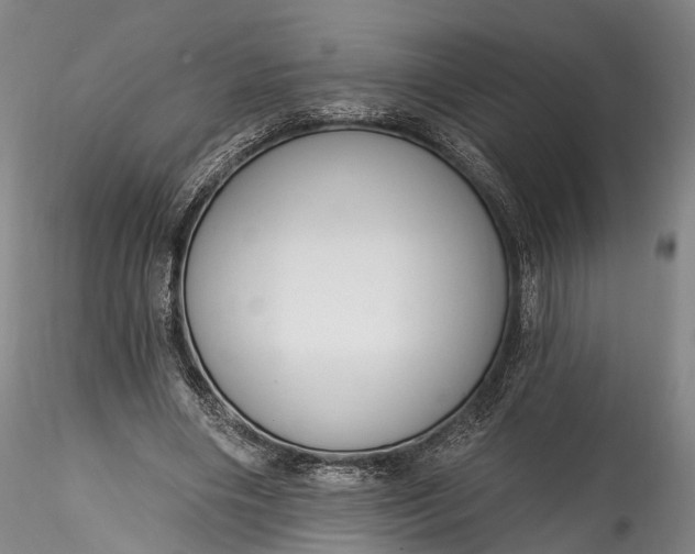 X0000115770490200911271144