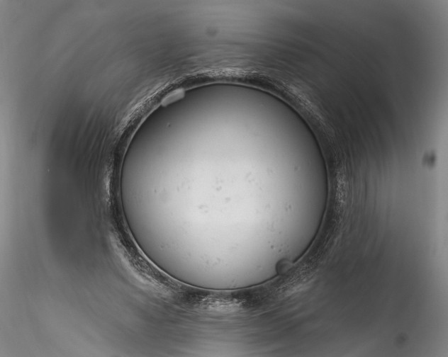 X0000115770491200911271144