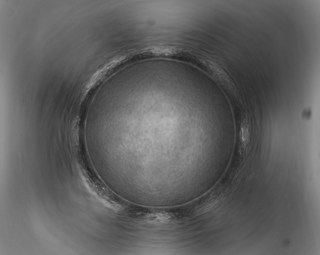 X0000115770492200911271144