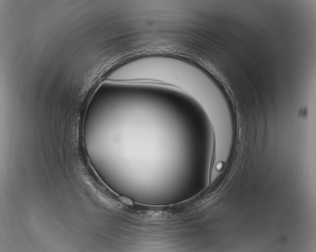 X0000115770493200911271144