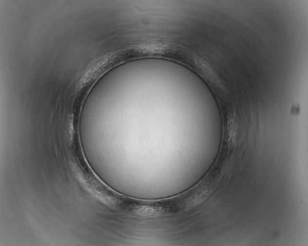 X0000115770494200911271144