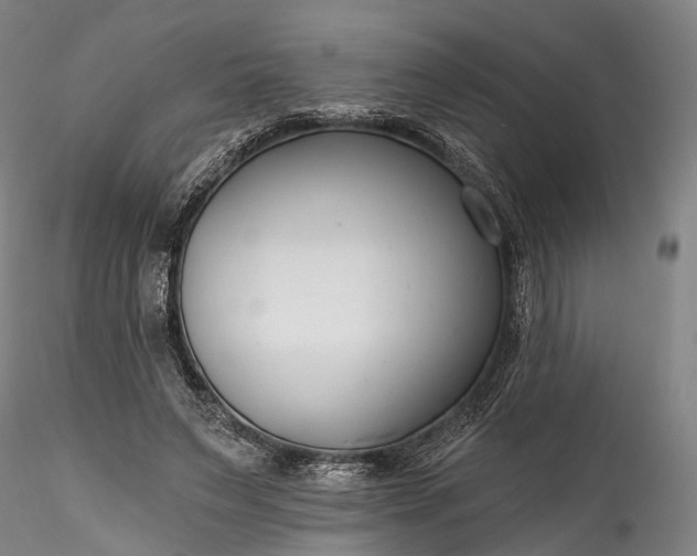 X0000115770495200911271144