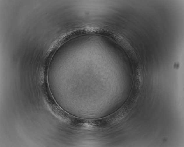 X0000115770496200911271144