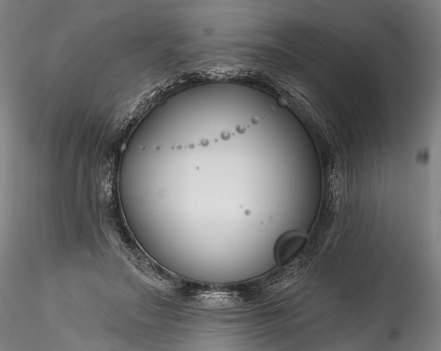 X0000115770499200911271144