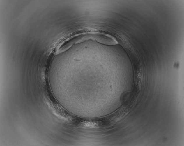 X0000115770500200911271144