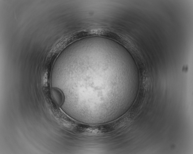 X0000115770502200911271144