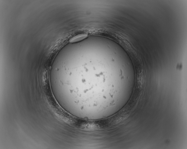 X0000115770503200911271144