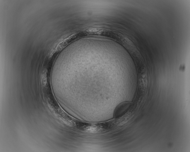 X0000115770504200911271144