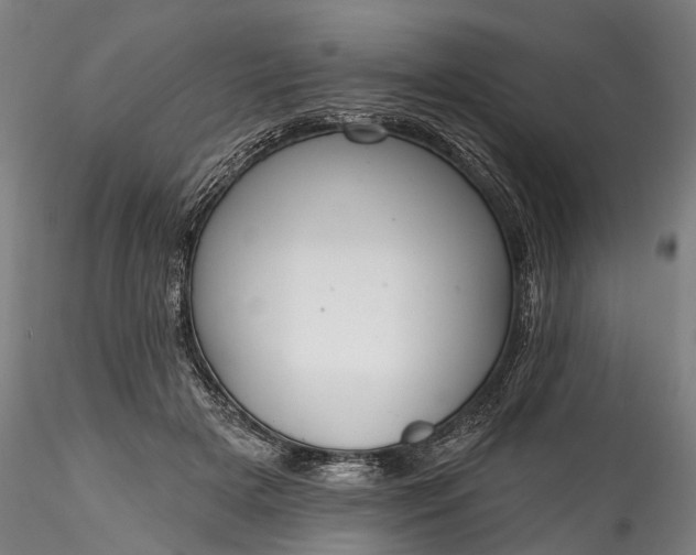 X0000115770505200911271144