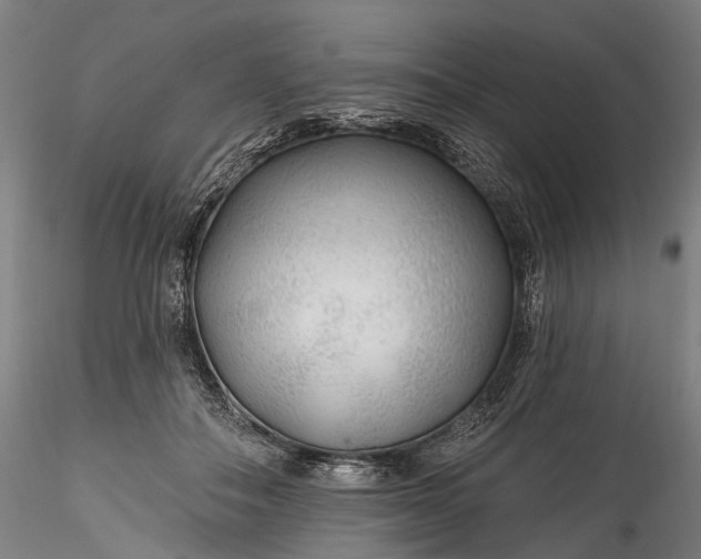 X0000115770506200911271144