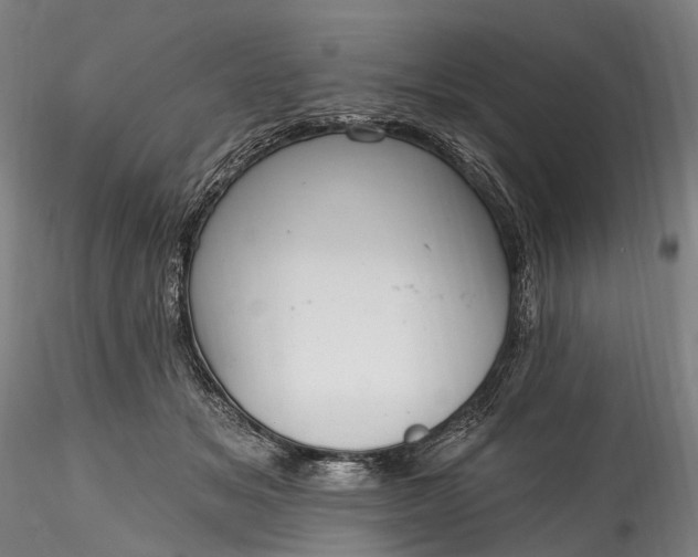 X0000115770509200911271144