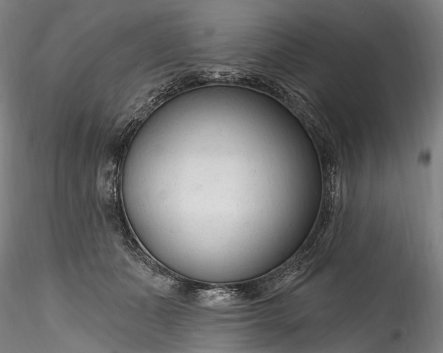 X0000115770511200911271144