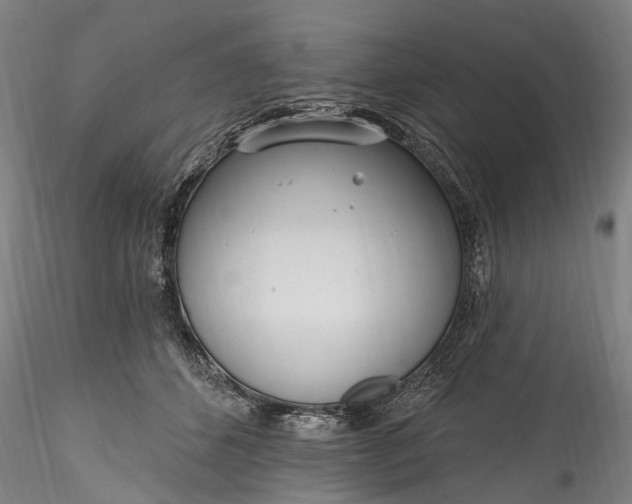 X0000115770512200911271144