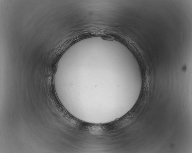 X0000115770513200911271144