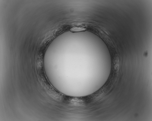 X0000115770515200911271144