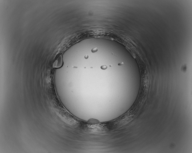 X0000115770516200911271144