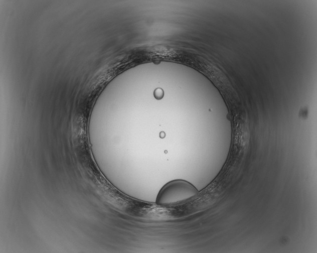 X0000115770518200911271144