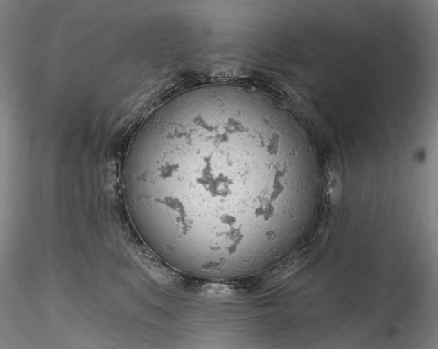 X0000115770519200911271144