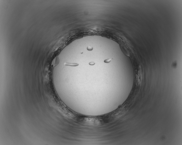 X0000115770520200911271144