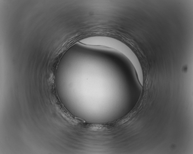 X0000115770521200911271144