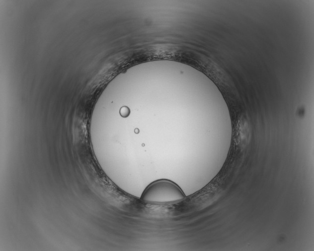 X0000115770522200911271144