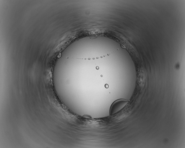 X0000115770523200911271144