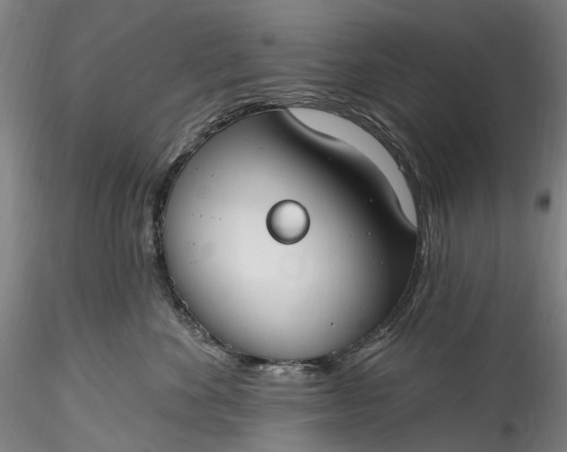 X0000115770524200911271144