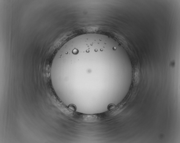 X0000115770525200911271144