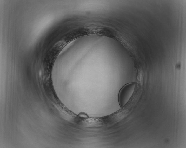 X0000115770526200911271144