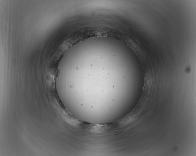 X0000115770527200911271144