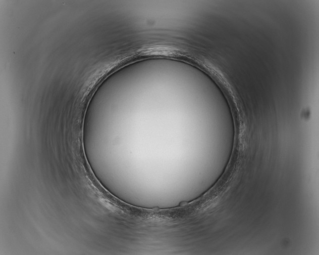 X0000115770529200911271143