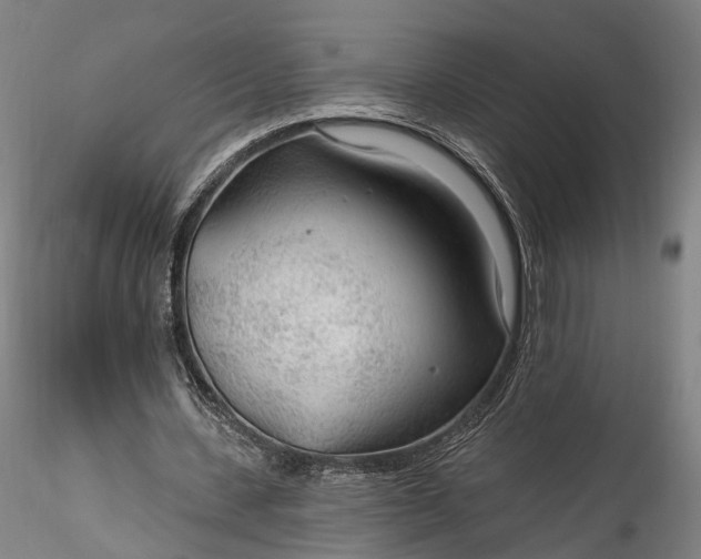 X0000115770531200911271143