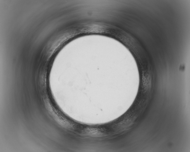 X0000115770534200911271143