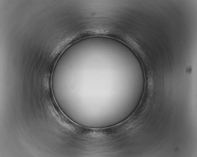 X0000115770537200911271143